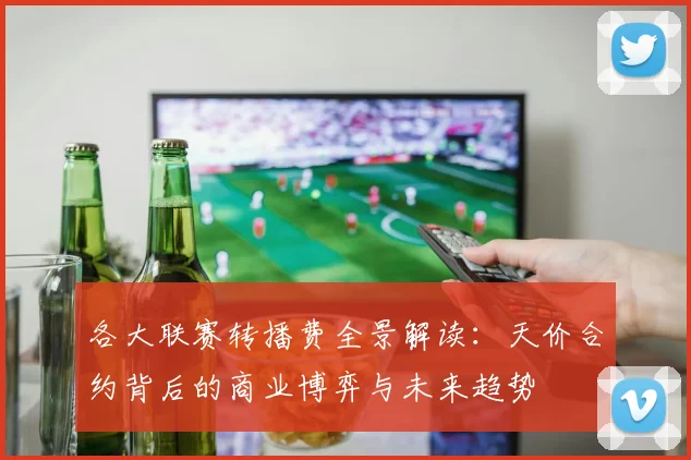 各大联赛转播费全景解读:天价合约背后的商业博弈与未来趋势